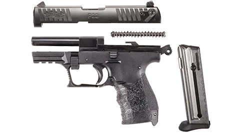 P22Q 3.42" Black 10RD 22LR 2