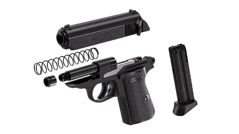 PPK/S 3.3" Black 10RD 22LR 5