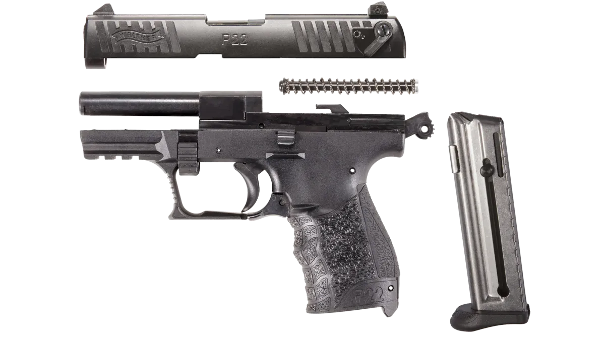 P22Q 3.42" Black 10RD 22LR