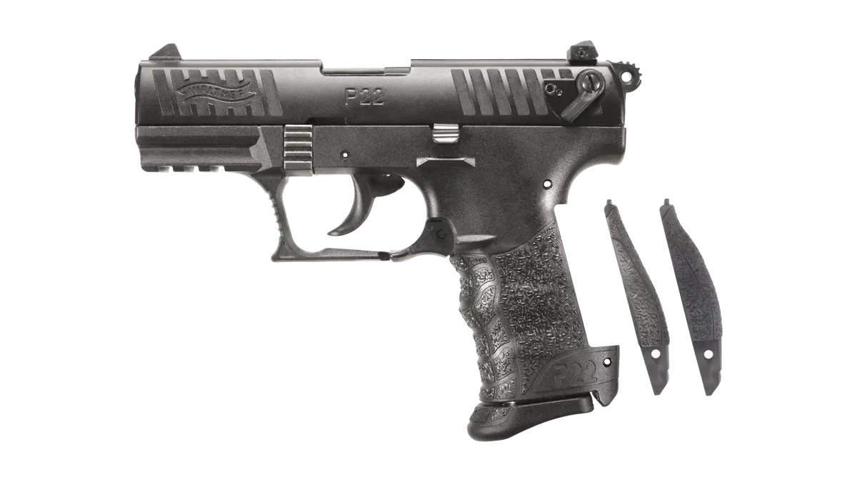 P22Q 3.42" Black 10RD 22LR