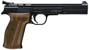 CSP Dynamic