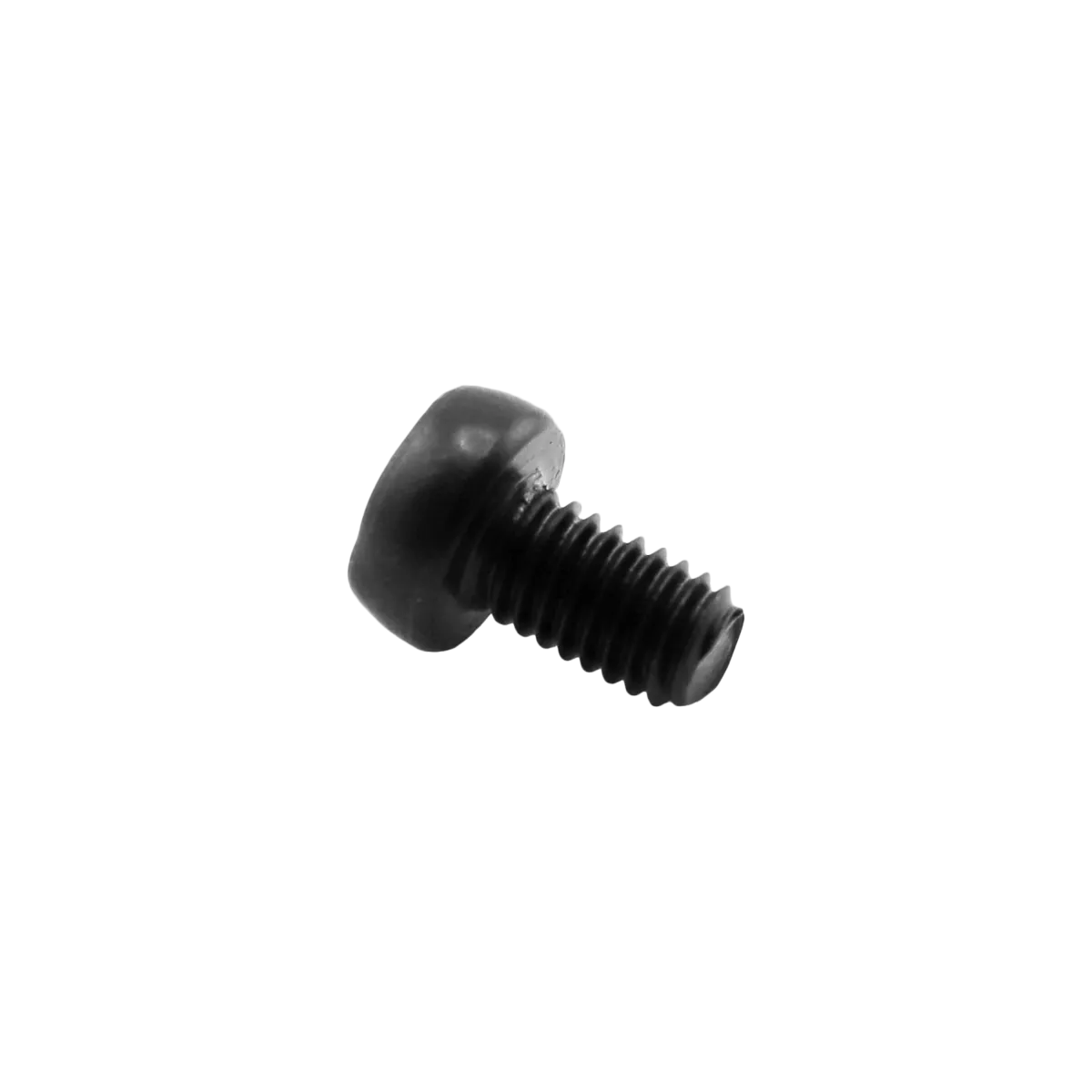 WMP Locking Block Screw